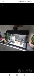 Acquario Newa 70 litri con mangiatoia automatica 