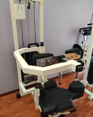 ROTARY TORSO TECNOGYM