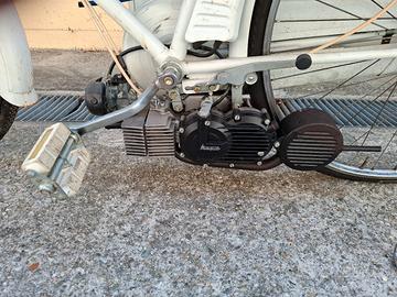 bici mosquito
