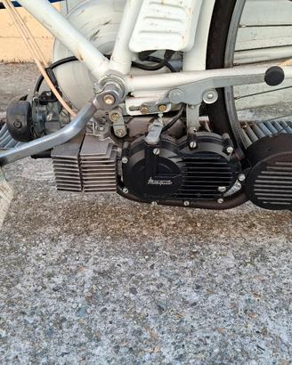 bici mosquito