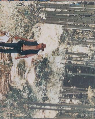 Spartito Personale di John Denver