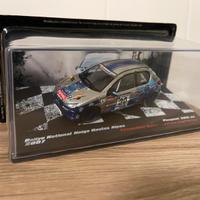 Peugeot 206  XS rally 2007 1/43