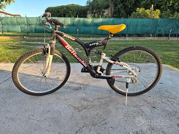 mrb cerchio 26