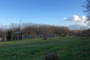 Terreno agricolo Carchitti (Palestrina)