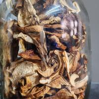 Porcini secchi