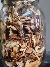 Porcini secchi