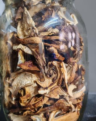 Porcini secchi