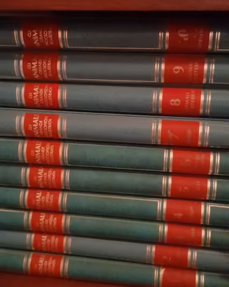 Grande Enciclopedia Illustrata Set 10 Volumi