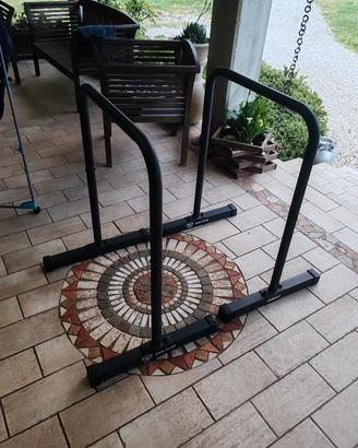 parallele calisthenics, Eric Flag