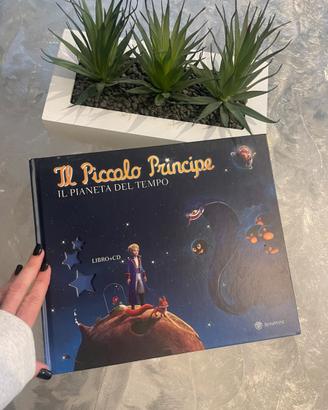 Libro il piccolo principe