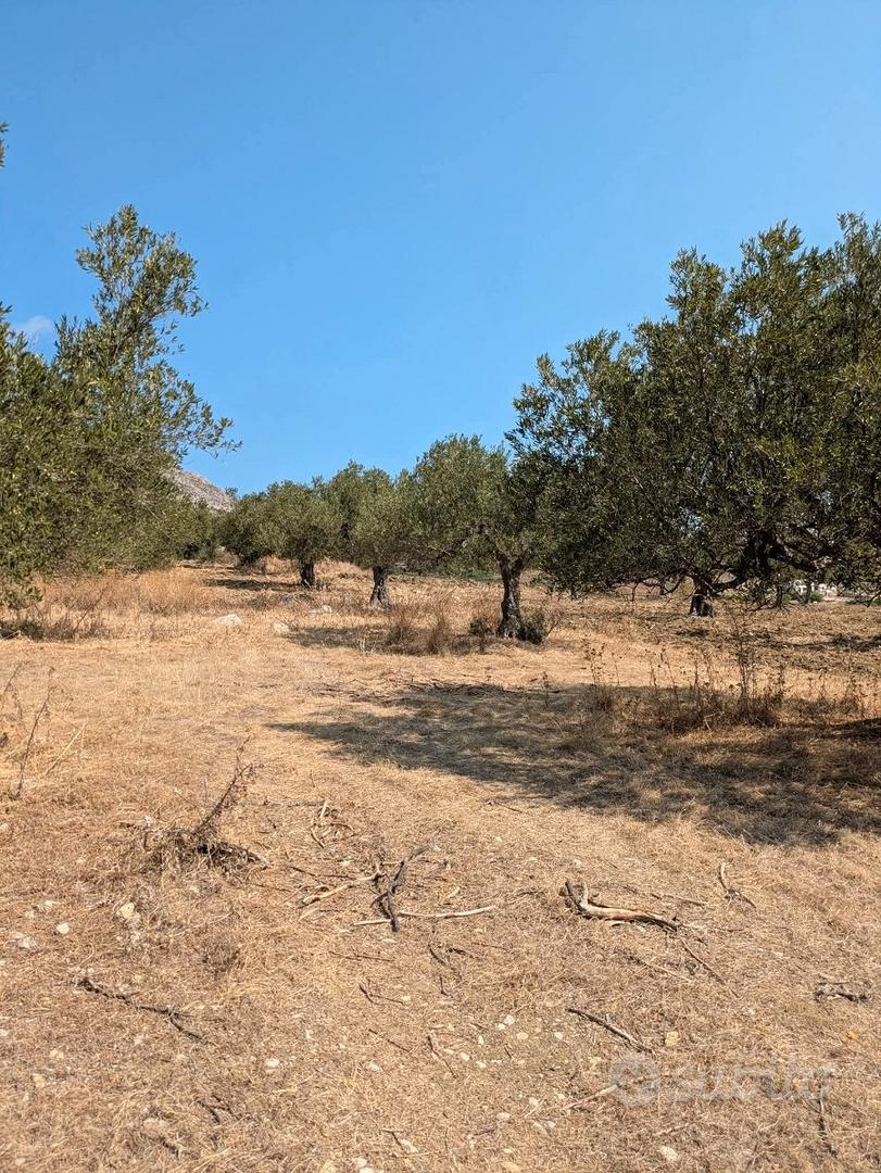 Terreno agricolo - Vista 3