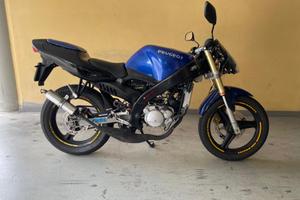 Moto  peugeot  50 xr6