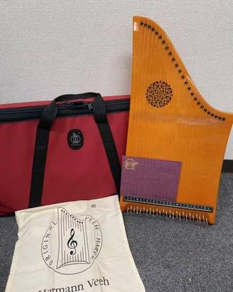 Hermann Veeh Harfe 25 corde