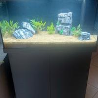 acquario juwel 125
