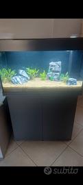 acquario juwel 125