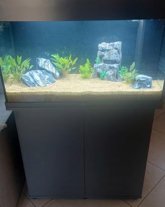 acquario juwel 125