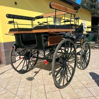 Carrozza Break (38)