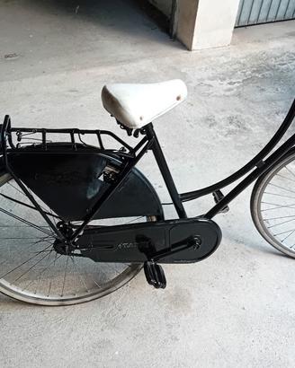 bicicletta donna 
