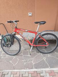 mountain bike
