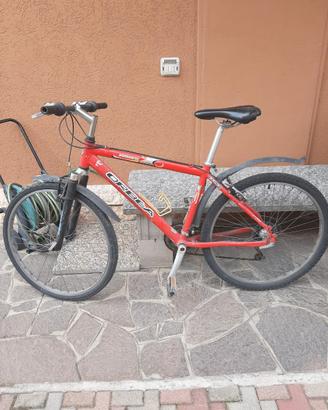 mountain bike