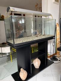 Acquario 120 litri 100x30x40 + accessori