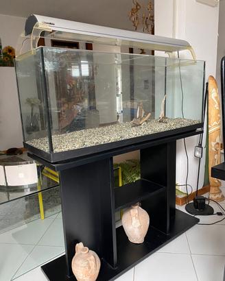Acquario 120 litri 100x30x40 + accessori