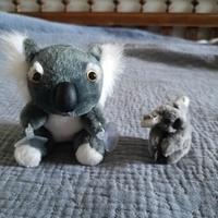 peluche koala con ventose
