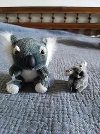peluche koala con ventose