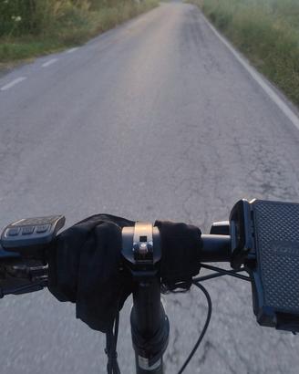 bici assistita