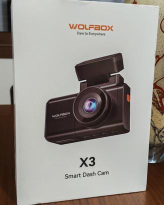 dashcam 