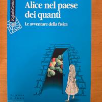 ALICE NEL PAESE DEI QUANTI