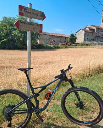 Cannondale Scalpel