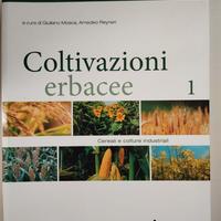 Coltivazioni erbacee. Vol. 1: Cereali NUOVO