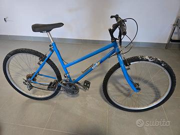 bicicletta da uomo/ragazzo