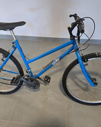 bicicletta da uomo/ragazzo