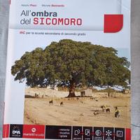 All'ombra del Sicomoro