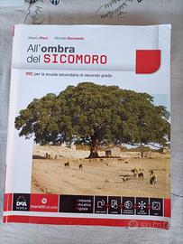 All'ombra del Sicomoro