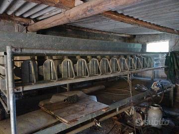 caturanti 12 posti sequenziali 
