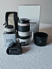 Obiettivo Canon EF 100-400mm f/4.5-5.6L IS II USM 