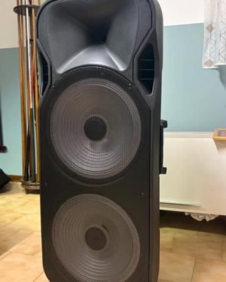 Cassa audio