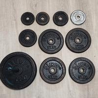 Set Pesi Ghisa Sliver (Varie Taglie) Totale 46.5