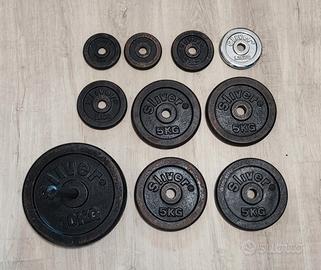 Set Pesi Ghisa Sliver (Varie Taglie) Totale 46.5