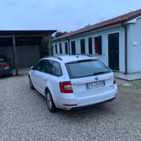 Octavia III 2017 Wagon Wagon 1.5 g-tec Ambition 13