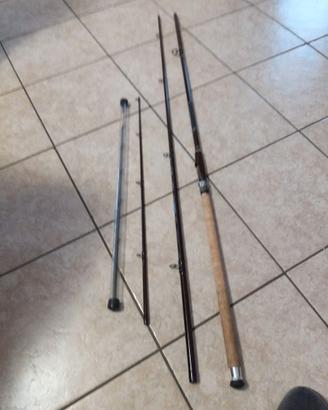 canna da pesca ledgering DAIWA, mod. Specialist