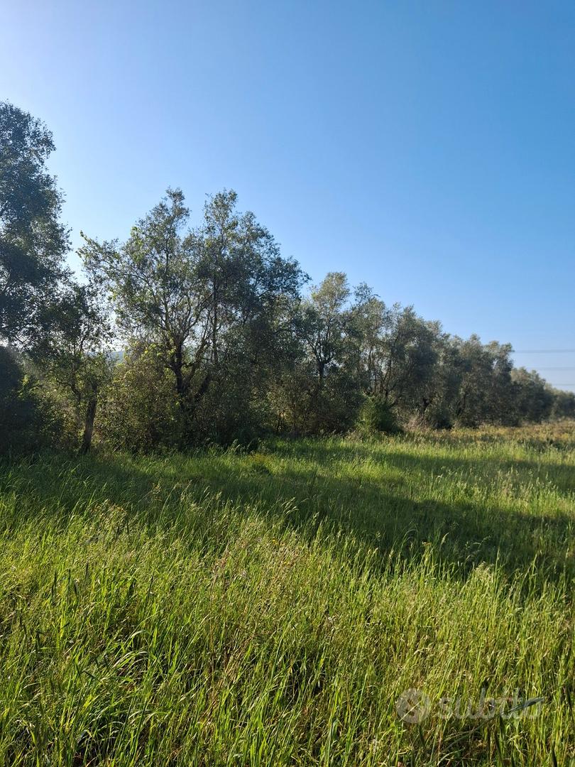 Terreno agricolo - Vista 3