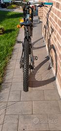 bici downihl 