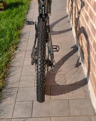 bici downihl 