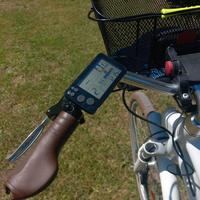 Bici elettrica donna