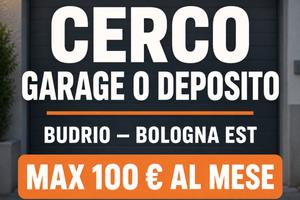 Garage/deposito Budrio-Bologna Est max 100