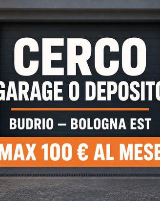 Garage/deposito Budrio-Bologna Est max 100